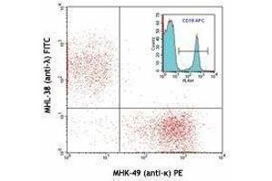Flow Cytometry (FACS) image for Mouse anti-Human Ig (Light Chain) antibody (PE) (ABIN2667194) (Mouse anti-Human Ig (Light Chain) Antibody (PE))