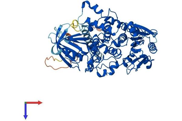 MTM1 Protein (AA 1-603) (His tag)