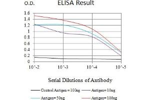 Black line: Control Antigen (100 ng),Purple line: Antigen (10 ng), Blue line: Antigen (50 ng), Red line:Antigen (100 ng) (JNK2 antibody  (AA 227-382))