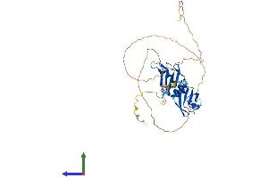 AlphaFold protein structure predicition of Human Recombinant HNRNPA3 Protein, UniprotID P51991