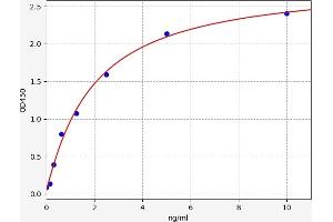 CYP24A1 ELISA Kit