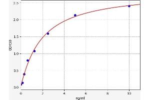 Typical standard curve (CYP24A1 ELISA Kit)