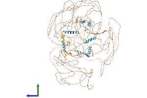 Protein Structure (PS) image for SET Binding Protein 1 (SETBP1) (AA 1-1582) protein (His tag) (ABIN7565269)