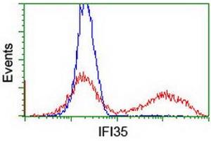 HEK293T cells transfected with either RC200929 overexpress plasmid (Red) or empty vector control plasmid (Blue) were immunostained by anti-IFI35 antibody (ABIN2454904), and then analyzed by flow cytometry. (IFI35 antibody)