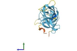 Protein Structure (PS) image for Exosome Component 1 (EXOSC1) (AA 1-195) protein (His tag) (ABIN7553862)