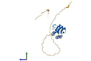 AlphaFold protein structure predicition of Human Recombinant SH3BGR Protein, UniprotID P55822 (SH3BGR Protein (AA 1-239) (His tag))