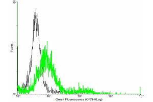 FACS analysis of negative control 293 cells (Black) and TIAM2 expressing 293 cells (Green) using TIAM2 purified MaxPab mouse polyclonal antibody. (TIAM2 antibody  (AA 1-626))