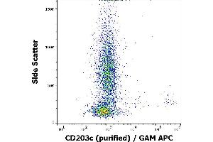 Flow cytometry surface staining pattern of IgE stimulated human peripheral whole blood stained using anti-human CD203c (NP4D6) purified antibody (concentration in sample 2 μg/mL, GAM APC). (ENPP3 antibody)