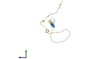 AlphaFold protein structure predicition of Mouse Recombinant Tnfrsf17 Protein, UniprotID O88472 (BCMA Protein (AA 1-185) (His tag))