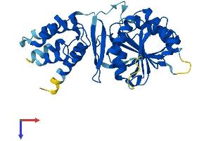 EEF2KMT (AA 1-330) protein (His tag)