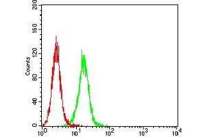 Flow Cytometry (FACS) image for anti-Chromogranin A (CHGA) (AA 278-457) antibody (ABIN7193658)