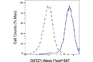 Validation of GSTZ1 knockdown using flow cytometry.