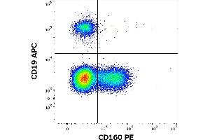 Flow cytometry multicolor surface staining of human lymphocytes stained using anti-human CD160 (BY55) PE antibody (10 μL reagent / 100 μL of peripheral whole blood) and anti-human CD19 (LT19) APC antibody (10 μL reagent / 100 μL of peripheral whole blood). (CD160 antibody  (PE))