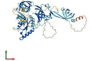 AlphaFold protein structure predicition of Human Recombinant EEFSEC Protein, UniprotID P57772 (EEFSEC Protein (AA 1-596) (His tag))