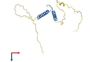 AlphaFold protein structure predicition of Human Recombinant TCF24 Protein, UniprotID Q7RTU0 (Transcription Factor 24 (TCF24) (AA 1-167) protein (His tag))