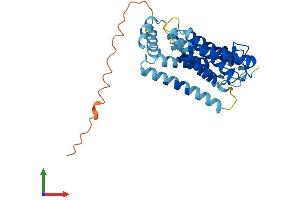 AlphaFold protein structure predicition of Mouse Recombinant Rhbdl2 Protein, UniprotID A2AGA4 (RHBDL2 Protein (AA 1-302) (His tag))