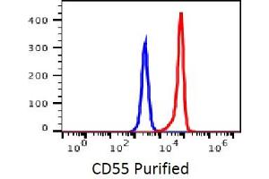 Image no. 2 for anti-Complement Decay-Accelerating Factor (CD55) antibody (ABIN3071829)