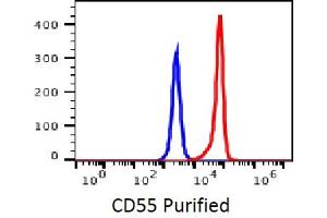 Image no. 2 for anti-Complement Decay-Accelerating Factor (CD55) antibody (ABIN3071830) (CD55 antibody)