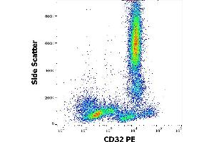 Flow cytometry surface staining pattern of human peripheral whole blood stained using anti-human CD32 (3D3) PE antibody (10 μL reagent / 100 μL of peripheral whole blood). (Fc gamma RII (CD32) antibody (PE))