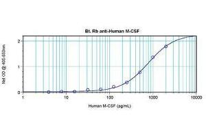 Image no. 1 for anti-Colony Stimulating Factor 1 (Macrophage) (CSF1) antibody (Biotin) (ABIN465549) (M-CSF/CSF1 antibody  (Biotin))