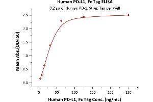 Immobilized Human PD-1, Strep Tag (ABIN2181620,ABIN2181619,ABIN6810009) at 2 μg/mL (100 μL/well) can bind Human PD-L1, Fc Tag (ABIN2181596,ABIN2181595) with a linear range of 4-63 ng/mL (QC tested).