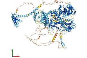AlphaFold protein structure predicition of Mouse Recombinant Dhx29 Protein, UniprotID Q6PGC1 (DHX29 Protein (AA 1-1365) (His tag))