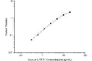 HtrA Serine Peptidase 1 (HTRA1) ELISA Kit