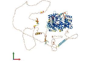AlphaFold protein structure predicition of Mouse Recombinant Dlc1 Protein, UniprotID Q9R0Z9 (DLC1 Protein (AA 1-1092) (His tag))