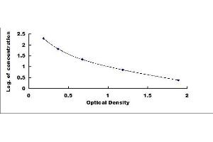 Typical standard curve (Butyrylcholinesterase ELISA Kit)