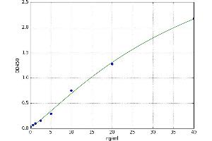 Ferritin, Mitochondrial (FTMT) ELISA Kit