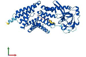 AlphaFold protein structure predicition of Mouse Recombinant Ttc5 Protein, UniprotID Q99LG4 (TTC5 Protein (AA 1-440) (His tag))