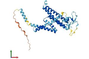 AlphaFold protein structure predicition of Human Recombinant RNF175 Protein, UniprotID Q8N4F7 (RNF175 Protein (AA 1-328) (His tag))