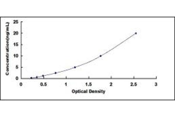 NT5C2 ELISA Kit