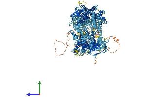 AlphaFold protein structure predicition of Mouse Recombinant Abcc6 Protein, UniprotID Q9R1S7 (ABCC6 Protein (AA 1-1498) (His tag))