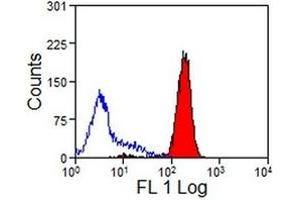 Image no. 1 for Goat anti-Mouse IgG (Light Chain) antibody (FITC) (ABIN318480) (Goat anti-Mouse IgG (Light Chain) Antibody (FITC))