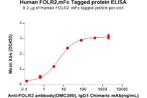 ELISA image for Folate Receptor 2 (Fetal) (FOLR2) (AA 17-228) protein (mFc Tag) (ABIN7092685)