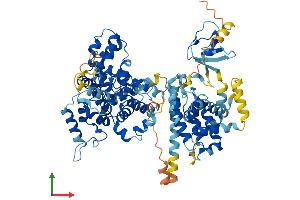 AlphaFold protein structure predicition of Mouse Recombinant Sgsm3 Protein, UniprotID Q8VCZ6