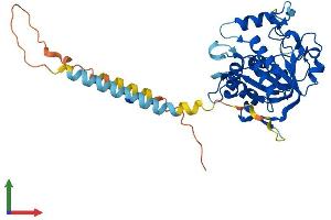 AlphaFold protein structure predicition of Mouse Recombinant St6galnac4 Protein, UniprotID Q9R2B6