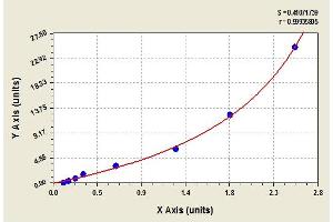 Image no. 1 for TIMP Metallopeptidase Inhibitor 1 (TIMP1) ELISA Kit (ABIN365420)