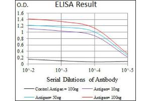 ELISA image for anti-T Antigen (AA 257-309) antibody (ABIN1845736) (T Antigen (AA 257-309) antibody)