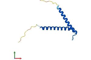 AlphaFold protein structure predicition of Mouse Recombinant Timm8a1 Protein, UniprotID Q9WVA2