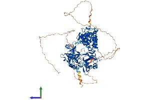 Protein Structure (PS) image for Ligase I, DNA, ATP-Dependent (LIG1) (AA 1-916) protein (His tag) (ABIN7563201)