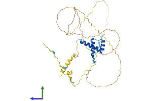 AlphaFold protein structure predicition of Human Recombinant GBX2 Protein, UniprotID P52951
