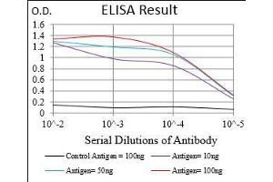 Black line: Control Antigen (100 ng), Purple line: Antigen(10 ng), Blue line: Antigen (50 ng), Red line: Antigen (100 ng), (Desmoglein 3 antibody  (AA 55-159))