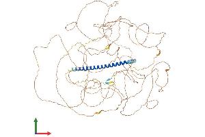 AlphaFold protein structure predicition of Human Recombinant TSC22D1 Protein, UniprotID Q15714 (TSC22D1 Protein (AA 1-1073) (His tag))
