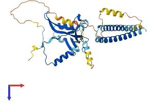 AlphaFold protein structure predicition of Human Recombinant TAF7 Protein, UniprotID Q15545 (TAF7 Protein (AA 1-349) (His tag))