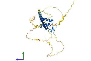 AlphaFold protein structure predicition of Mouse Recombinant Hmx2 Protein, UniprotID P43687 (HMX2 Protein (AA 1-273) (His tag))