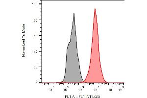 Separation of Ramos cells stained using anti-p53 (BP53. (p53 antibody  (FITC))