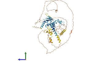 AlphaFold protein structure predicition of Human Recombinant ZBTB46 Protein, UniprotID Q86UZ6