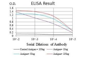 Black line: Control Antigen (100 ng), Purple line: Antigen(10 ng), Blue line: Antigen (50 ng), Red line: Antigen (100 ng), (RING1 antibody  (AA 79-263))